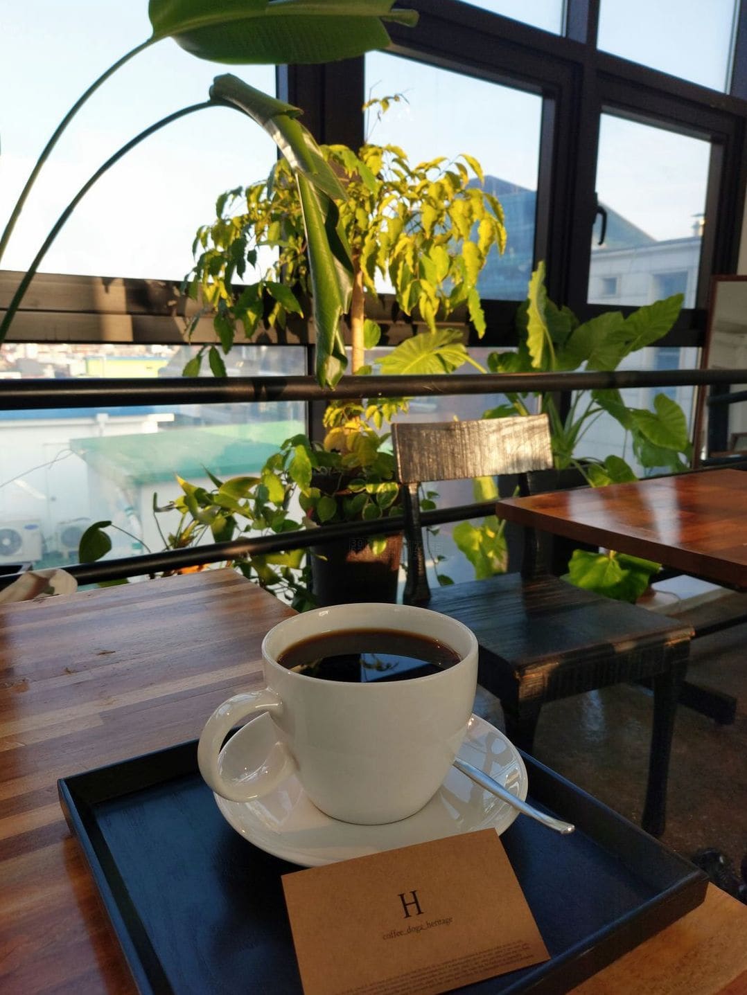 コメダ珈琲店 13